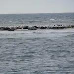بيت شباب Jugendherberge Westerland فيسترلاند