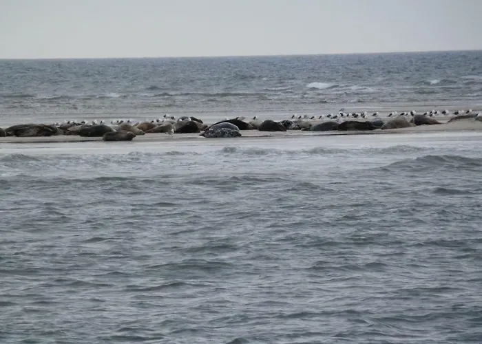 Hostal Jugendherberge Westerland Westerland