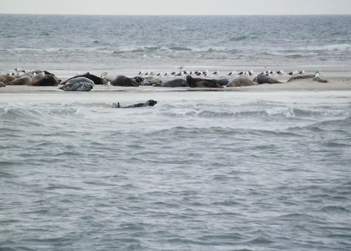 Jugendherberge Westerland